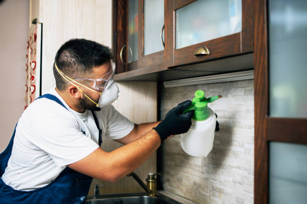 Best Bed Bug Extermination  in Hopelawn, NJ
