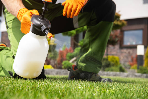 Best Exterminator Services  in Hopelawn, NJ