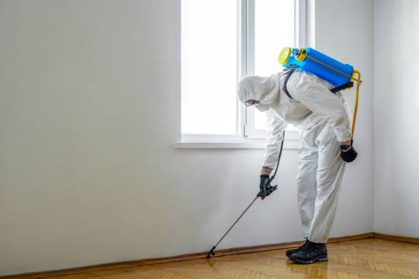 Best Pest Control Near Me  in Hopelawn, NJ