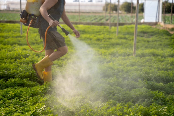 Best Best Pest Control Companies  in Hopelawn, NJ