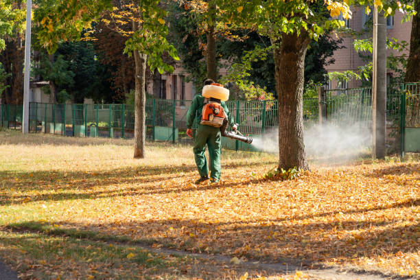 Best Commercial Pest Control Services  in Hopelawn, NJ